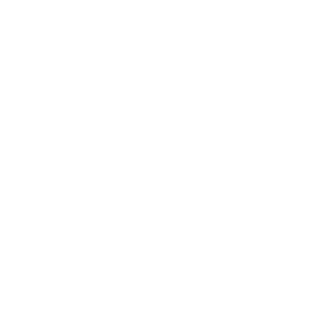 Google Light Logo logo