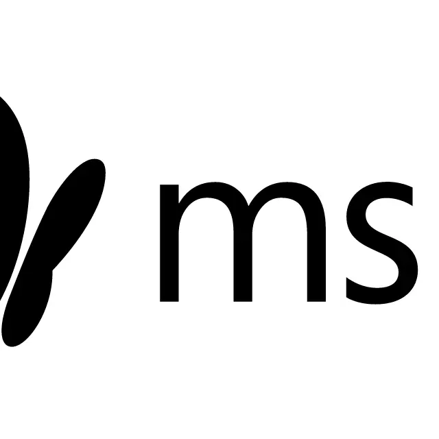 MSN logo